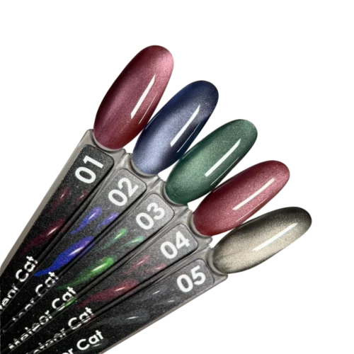 METEOR kolekcija profesionalams – visas rinkinys –10%