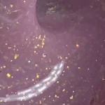 VEGA Nebula 02 – UV/LED gelis